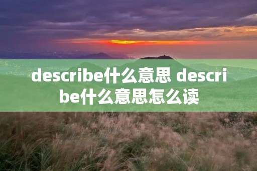 describe什么意思 describe什么意思怎么读