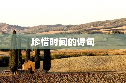 珍惜时间的诗句