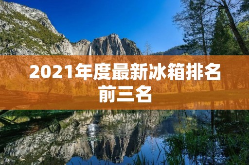 2021年度最新冰箱排名前三名 2021年度最新冰箱排名前三名