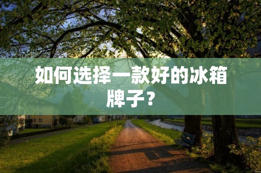 如何选择一款好的冰箱牌子？