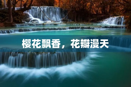 樱花飘香,花瓣漫天
