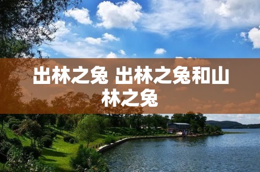 出林之兔 出林之兔和山林之兔
