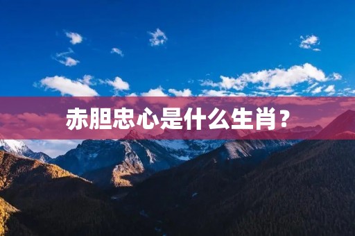 赤胆忠心是什么生肖？