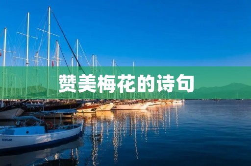 赞美梅花的诗句