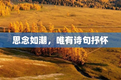 思念如潮,唯有诗句抒怀