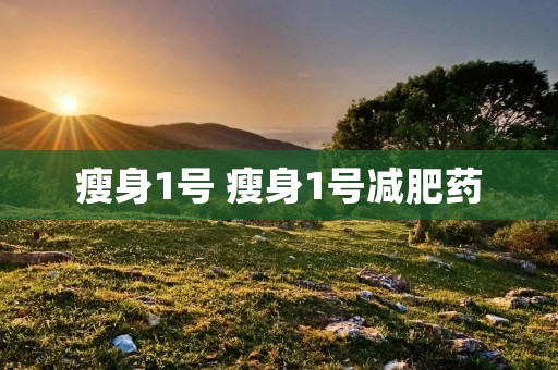 瘦身1号 瘦身1号减肥药