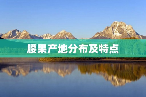 腰果产地分布及特点
