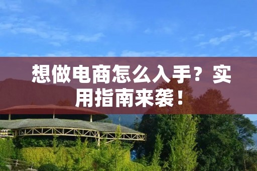 想做电商怎么入手?实用指南来袭!