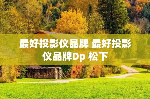 最好投影仪品牌 最好投影仪品牌Dp 松下