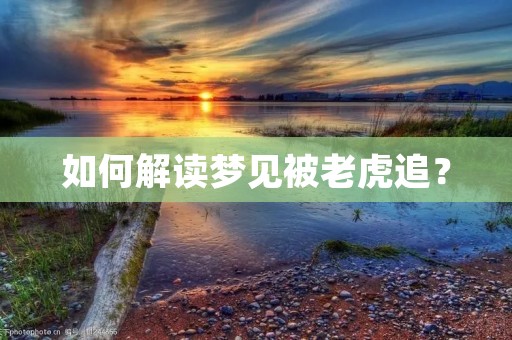 如何解读梦见被老虎追? 如何解读梦见被老虎追?