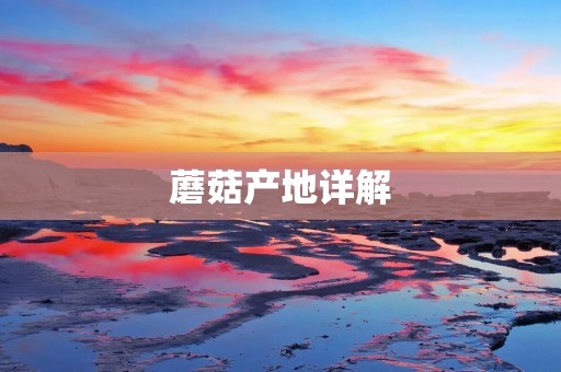 蘑菇产地详解:从环境到品质