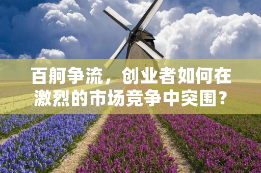 百舸争流，创业者如何在激烈的市场竞争中突围？