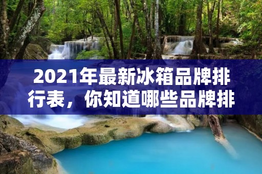 2021年最新冰箱品牌排行表，你知道哪些品牌排名靠前？