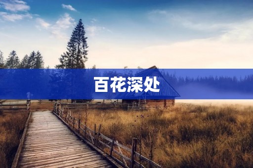 百花深处:追寻花海的美丽之旅 百花深处:追寻花海的美丽之旅