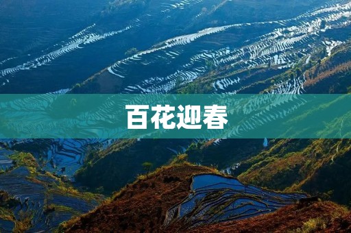 百花迎春:春天花草盛开的美丽景象 百花迎春:春天花草盛开的美丽景象