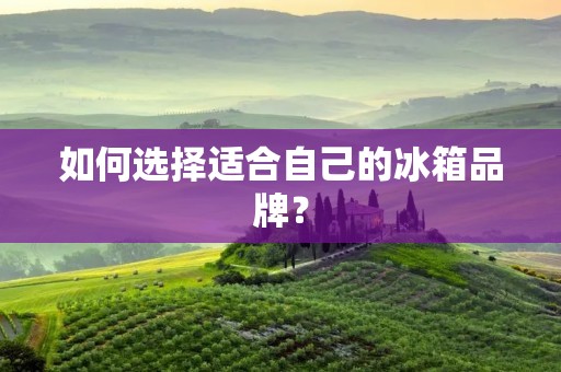 如何选择适合自己的冰箱品牌？