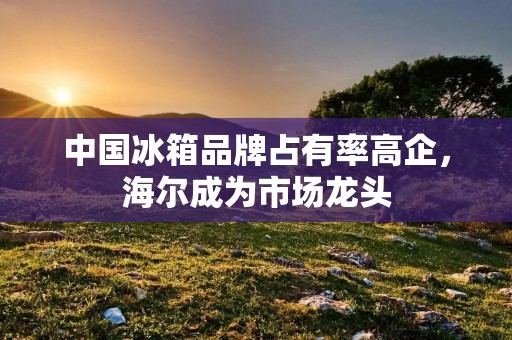 中国冰箱品牌占有率高企,海尔成为市场龙头 中国冰箱品牌占有率高企,海尔成为市场龙头