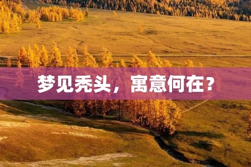 梦见秃头,寓意何在? 梦见秃头,寓意何在?