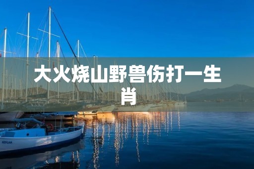 大火烧山野兽伤打一生肖