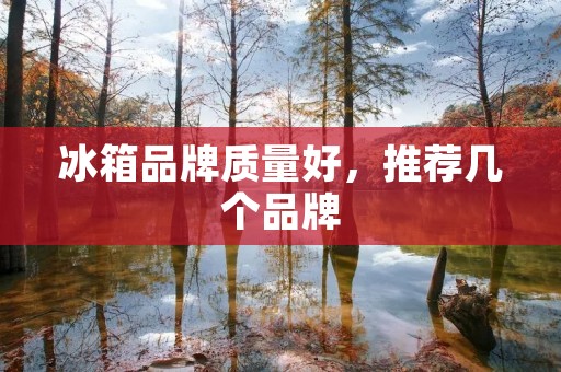 冰箱品牌质量好，推荐几个品牌