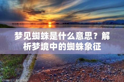梦见蜘蛛是什么意思?解析梦境中的蜘蛛象征
