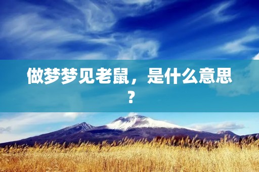 做梦梦见老鼠,是什么意思?