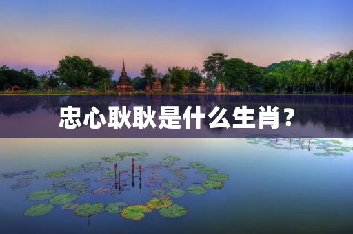 忠心耿耿是什么生肖?