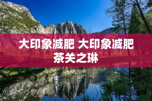 大印象减肥 大印象减肥茶关之琳