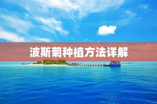波斯菊种植方法详解