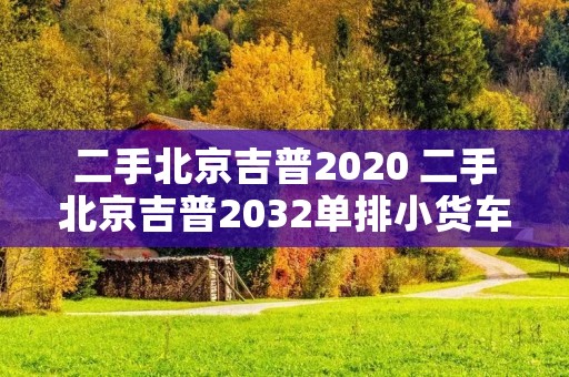 二手北京吉普2020 二手北京吉普2032单排小货车