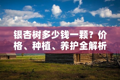 银杏树多少钱一颗?价格、种植、养护全解析