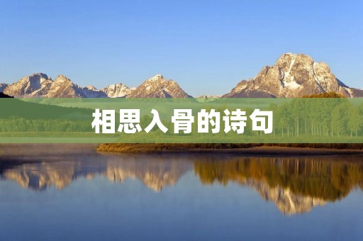 相思入骨的诗句