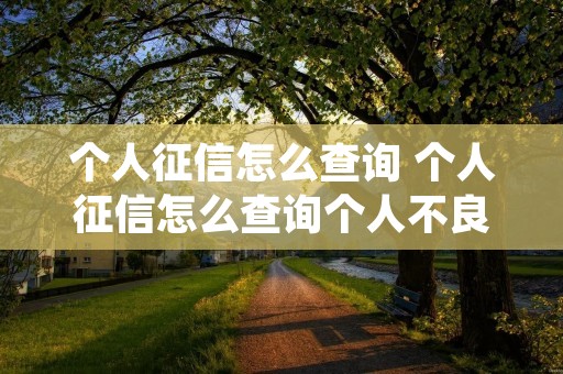 个人征信怎么查询 个人征信怎么查询个人不良记录 个人征信怎么查询 个人征信怎么查询个人不良记录