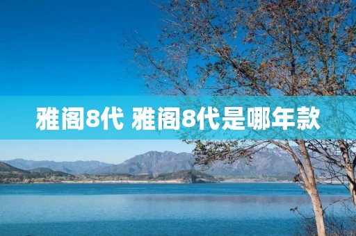 雅阁8代 雅阁8代是哪年款