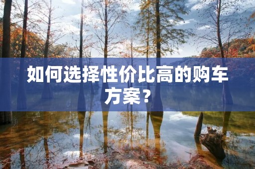 如何选择性价比高的购车方案?