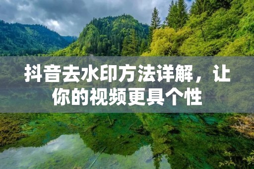抖音去水印方法详解，让你的视频更具个性