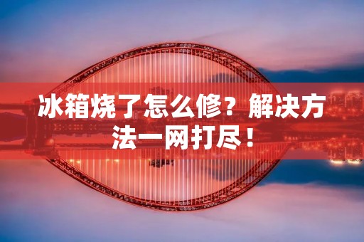 冰箱烧了怎么修？解决方法一网打尽！
