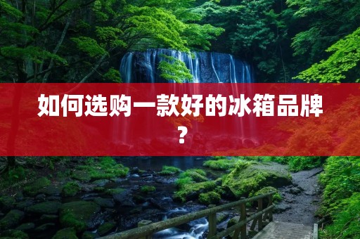 如何选购一款好的冰箱品牌? 如何选购一款好的冰箱品牌?