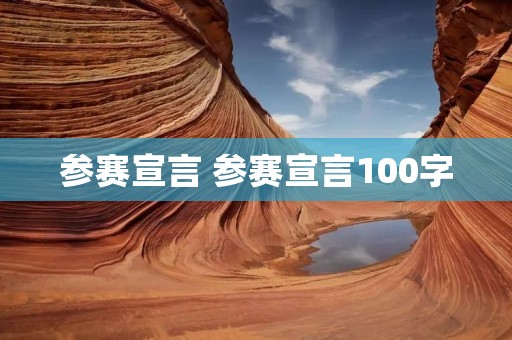 参赛宣言 参赛宣言100字