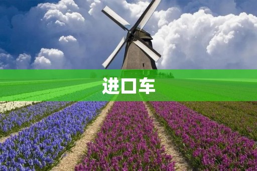 进口车:外国品牌的魅力与挑战 进口车:外国品牌的魅力与挑战