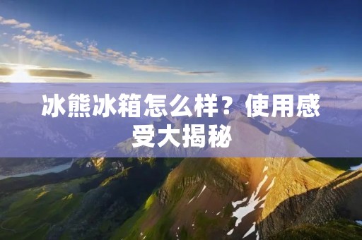 冰熊冰箱怎么样？使用感受大揭秘