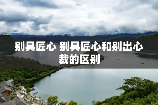 别具匠心 别具匠心和别出心裁的区别