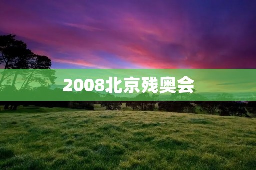 2008北京残奥会:让残疾人士展现出无限可能 2008北京残奥会:让残疾人士展现出无限可能