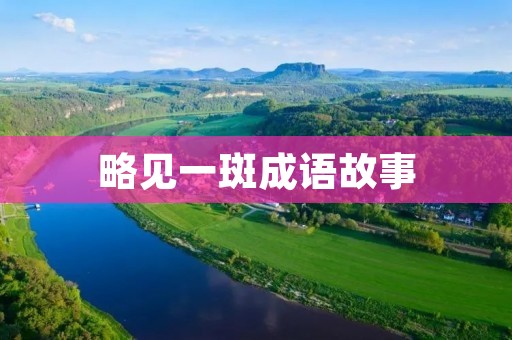 略见一斑成语故事 略见一斑成语故事
