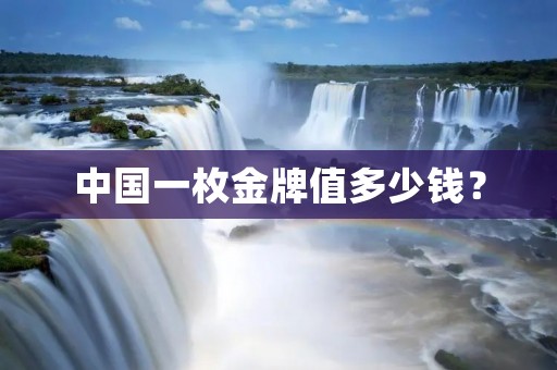 中国一枚金牌值多少钱？