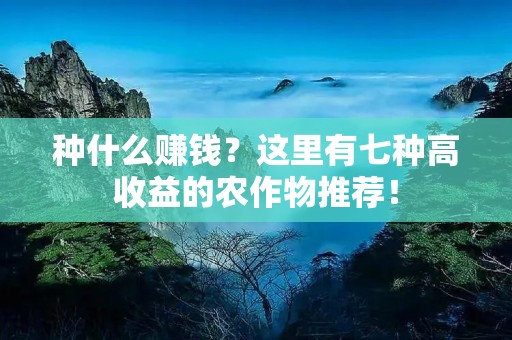 种什么赚钱？这里有七种高收益的农作物推荐！