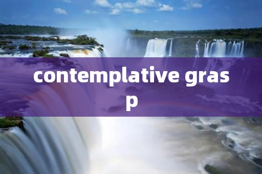 contemplative grasp