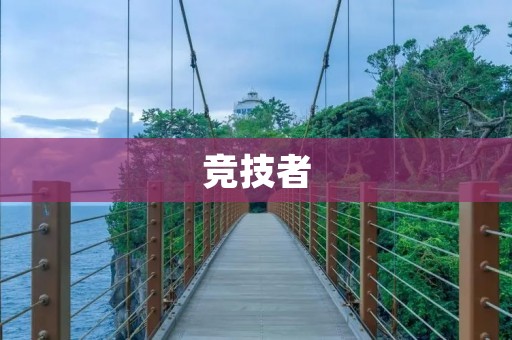竞技者:拼搏、奋斗、超越的代名词 竞技者:拼搏、奋斗、超越的代名词