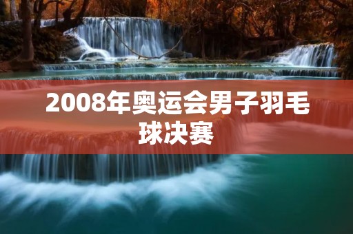 2008年奥运会男子羽毛球决赛:林丹vs李宗伟 2008年奥运会男子羽毛球决赛:林丹vs李宗伟