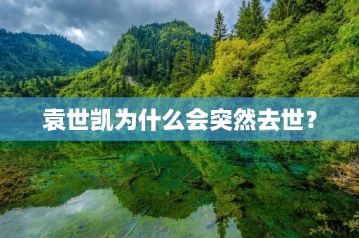 袁世凯为什么会突然去世？